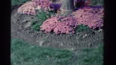 Ontario Canada (1958): Many Of The Flowers Are In The Garden To Seeing Very Nice
