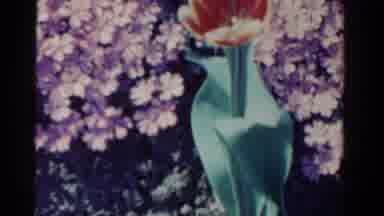 Ontario Canada (1958): Flowers Of The Most Varied Colors In A Stunning Garden