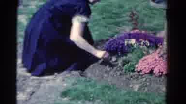 Ontario Canada (1958): Old Woman Manages Flowers On A Mound Of Dirt With