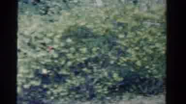 Ontario Canada (1958): It Is The Beautiful Place Look Like A Very Nature Place
