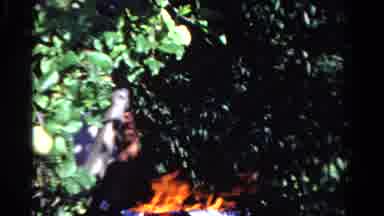 Ontario Canada (1958): The Joys Of Summertime And Barbeque Fun With Family And