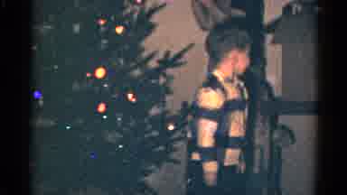 Catskill New York USA (1959): The Person Make A Christmas Tree In Our House They