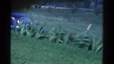 Catskill New York USA (1959): In The Garden The Flowers Are Bloom It Looks Like