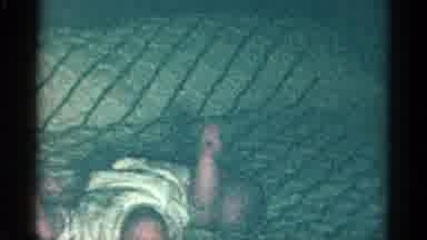 Catskill New York USA (1959): Video Of A Baby Trying To Learn How To Roll Over