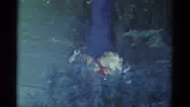 Catskill New York USA (1959): Children's Theater Tells A Story Using Puppets And