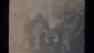 Catskill New York USA (1959): Many Of The Persons Are In The Sculpture Very