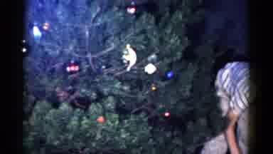 Catskill New York USA (1959): Young Boy Carefully Places Christmas Decoration On