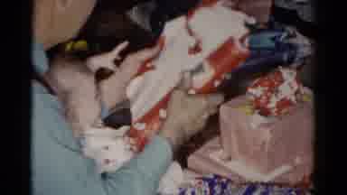 Catskill New York USA (1959): Person Wearing Green Shirt Holds Baby In Lap While