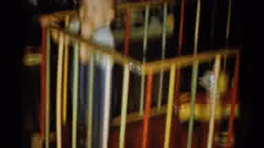 Catskill New York USA (1959): Toddler Smiles Sucks Fingers Holds Railing In Wooden