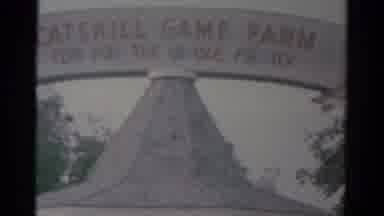Catskill New York USA (1959): They Go To That Catskill Game Farm As A Family