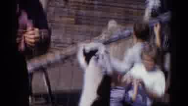 Catskill New York USA (1959): Man Wearing Tan Shirt Feeds Black And White Llama On