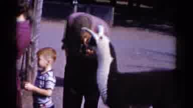 Catskill New York USA (1959): Man Standing With His Family Attempting To Befriend
