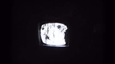 Hagerstown Maryland USA (1959): The Family That Watches Television And Cuts Down
