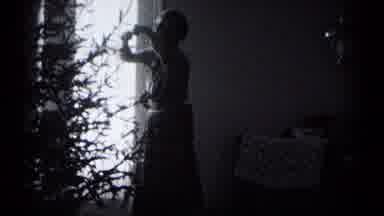 Hagerstown Maryland USA (1959): Woman Dancing Around Christmas Tree Cuts To Cat