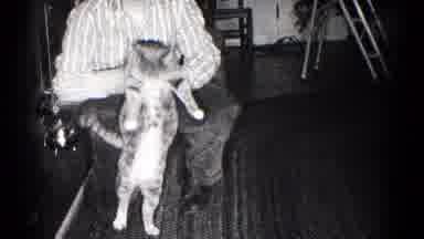 Hagerstown Maryland USA (1959): Teenage Boy Grabbing His Cat To Show It To The