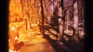 Hagerstown Maryland USA (1959): Woman Walks In A Very Pleasant And Well-Preserved