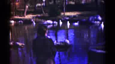 Hagerstown Maryland USA (1959): The Cranes Are In The Lake The Lady Seen In The