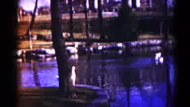 Hagerstown Maryland USA (1959): Two People And A Pond With Geese Swimming In It