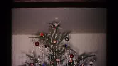Hagerstown Maryland USA (1959): Christmas Tree Decorated For The Holidays With