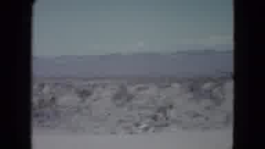 Nevada USA (1959): The Peoples Are Decorating The Trees For Celebrating The