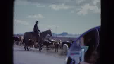 Nevada USA (1959): The Person Is Playing In The Horse Riding