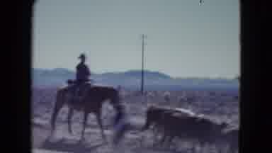 Nevada USA (1959): The Persons Are Doing The Horse Riding Very Happily And Talent