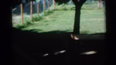 Camden New Jersey USA (1960): Backyard Of The House Covered With Grass And