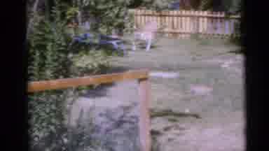 Camden New Jersey USA (1960): Two Young Kids Having Fun And Swinging On A Swing