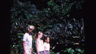 Miami Florida USA (1960): Ecological And Natural Park Where Friends Go For A Walk