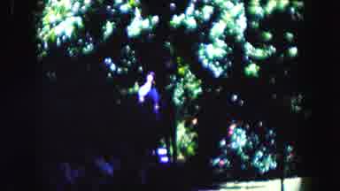 Miami Florida USA (1960): Woman Walks With Her Through Beautiful Flowery And