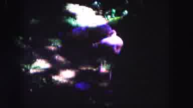Miami Florida USA (1960): A Blurry Video Of A Group Of Animals Standing Around And