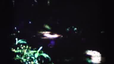 Miami Florida USA (1960): It Is The Beautiful Place Look Like A Very Nature Place