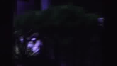 Miami Florida USA (1960): It Is Seeing A Flight Is Very Biggest Then Its Goes To
