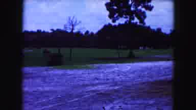 Miami Florida USA (1960): The Person And Animal Are Both In The Water Place