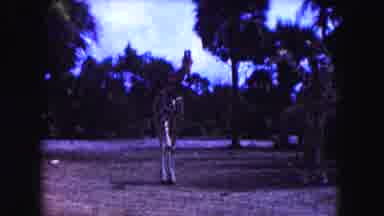 Miami Florida USA (1960): The Biggest Animal It Is Look Like A Very Superb Animal