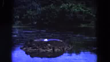 Miami Florida USA (1960): It Is The Beautiful Place Look Like A Very Nature Place