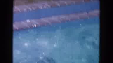 Miami Florida USA (1960): Girl Jumping Into A Swimming Pool And Swimming With A
