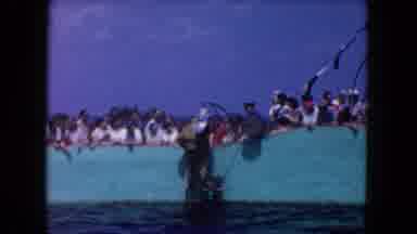 Miami Florida USA (1960): Vintage Marine Studios Feeding