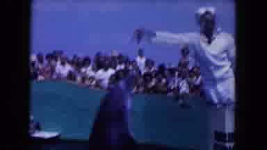 Miami Florida USA (1960): The Person Doing Playing With The Dolphin With Talent