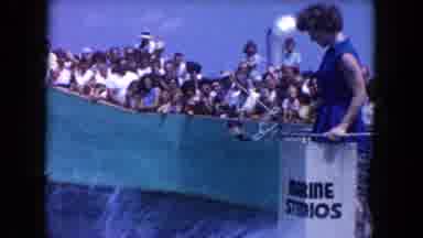 Miami Florida USA (1960): Dolphin Jumps To Take Fish From Woman's Hand At Aquatic