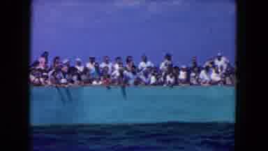 Miami Florida USA (1960): Dolphin Jumps Out Of The Pond To Grab Fish From The Hand