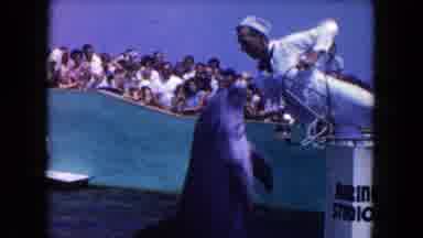 Miami Florida USA (1960): The Man Was Giving Food To Fish Under The Water And