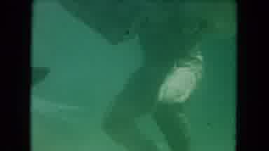 Miami Florida USA (1960): Underwater Scene Of Man With Food Basket Surrounded By