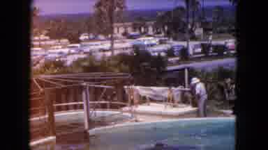 Miami Florida USA (1960): Dolphin Raising A Flag By Doing A Trick At Marineland A
