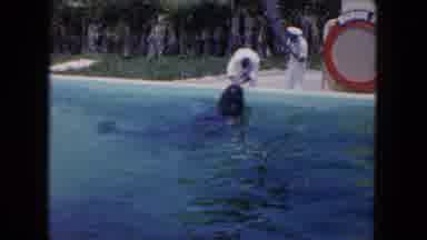 Miami Florida USA (1960): Trainer Feeds Whale In Aquatic Park Before His