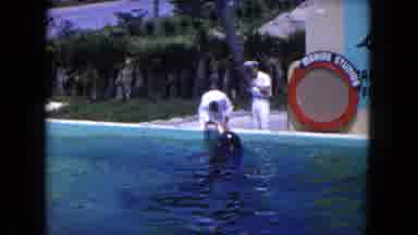 Miami Florida USA (1960): They Whale Are Wash In Coach In Pool
