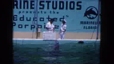 Miami Florida USA (1960): Sea Aquarium With Dolphins People Teach To Take Balls To