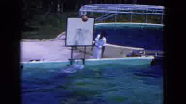 Miami Florida USA (1960): Captive Dolphin At Wildlife Park Playing Basketball In