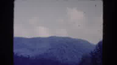 Miami Florida USA (1960): It Is A Lovely Place Look Like A Beautiful Place