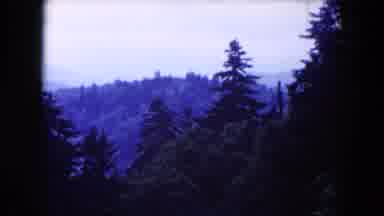 Miami Florida USA (1960): View Of Mountains Green Trees And Blue Sky On A Clear